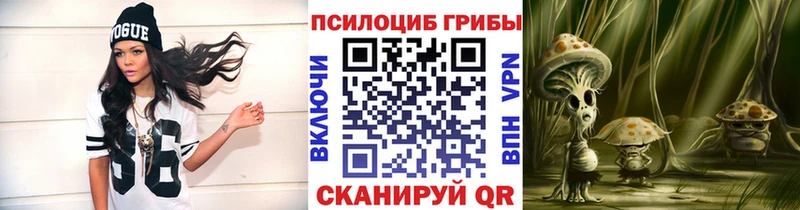 hydra ТОР  хочу   Сорочинск  Псилоцибиновые грибы прущие грибы 
